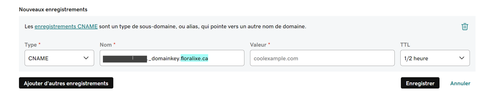 S&eacute;lectionnez le type CNAME et collez le nom de votre enregistrement